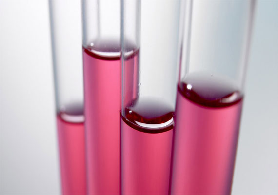 Siscon Chemtech